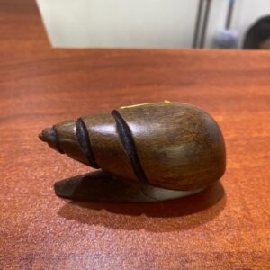 Brown snail